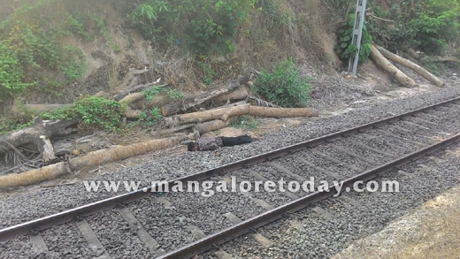 train track 1